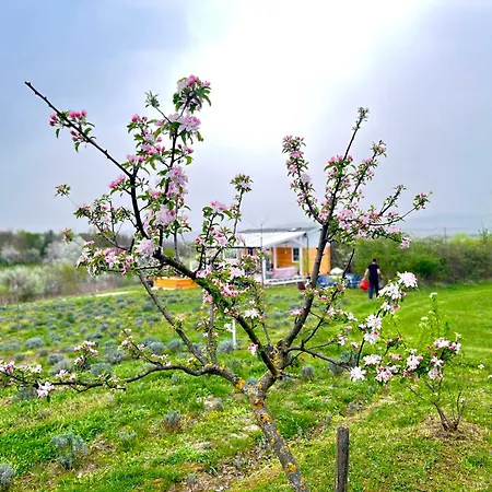 بيت للعطل Bohemian Kisapati