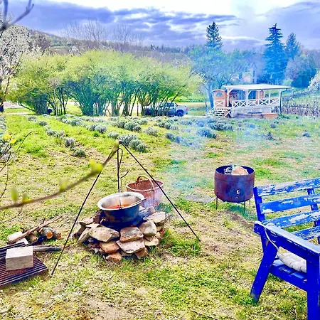 Bohemian * Kisapati