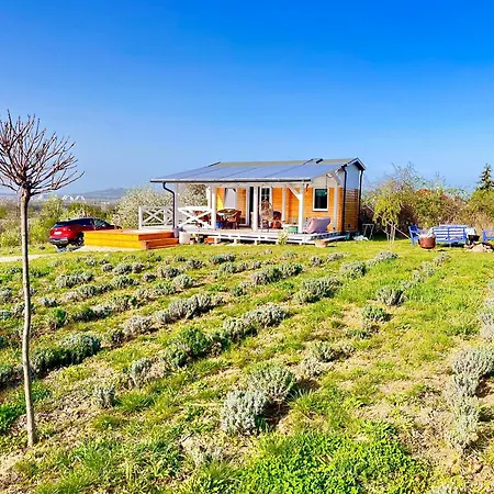 بيت للعطل Bohemian