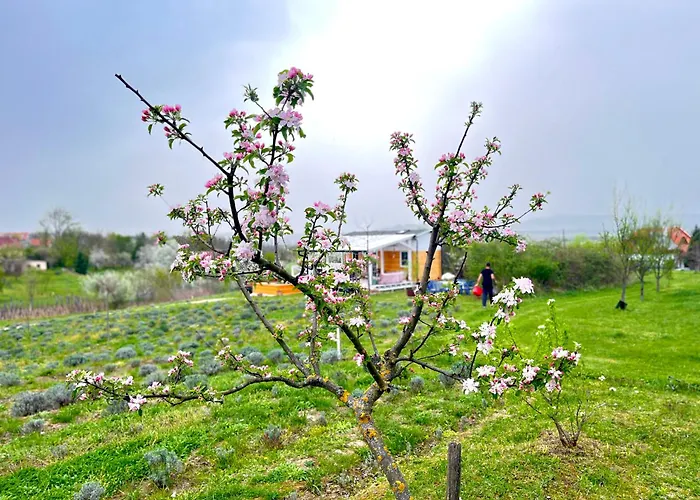 Feriehus Bohemian Kisapati